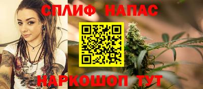 мдпв Малгобек