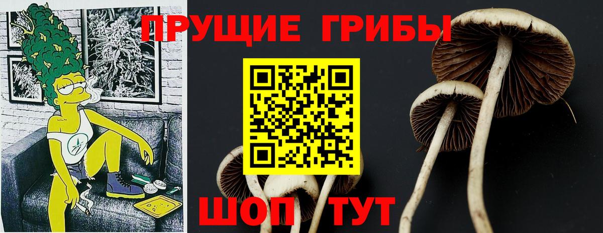 Галлюциногенные грибы Psilocybine cubensis  Вход с VPN  Галлюциногенные грибы Magic Shrooms  Шелехов 